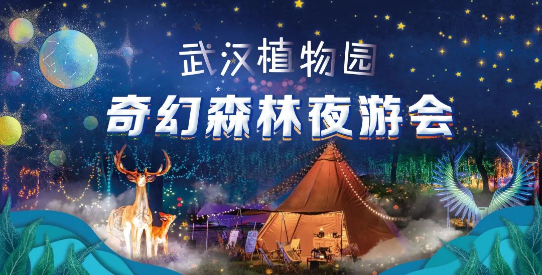 表单头图