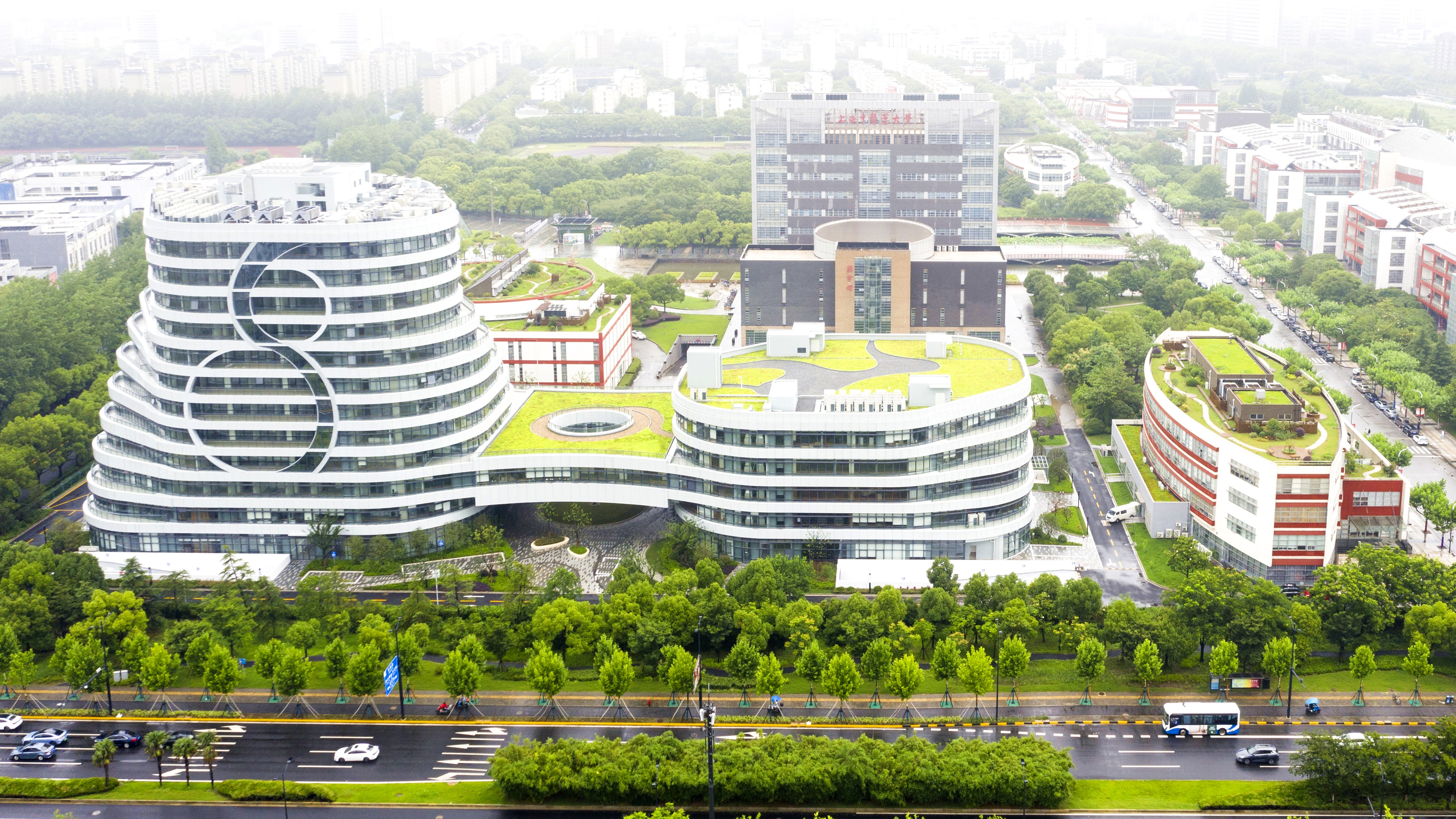 在上海张江，有一片特别的“热带雨林”